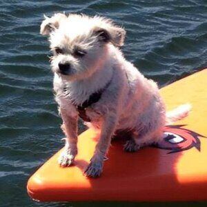 SoFla Native: Too many clothes, not enough house!